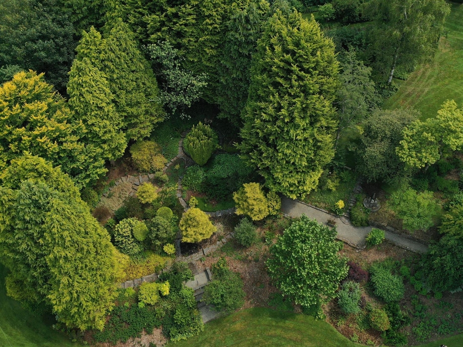 The Yellow Garden at Cae Hir Gardens, as seen from above. The stone paths meander through the yellow-leaved shrubs and bushes, surrounded by mature ye