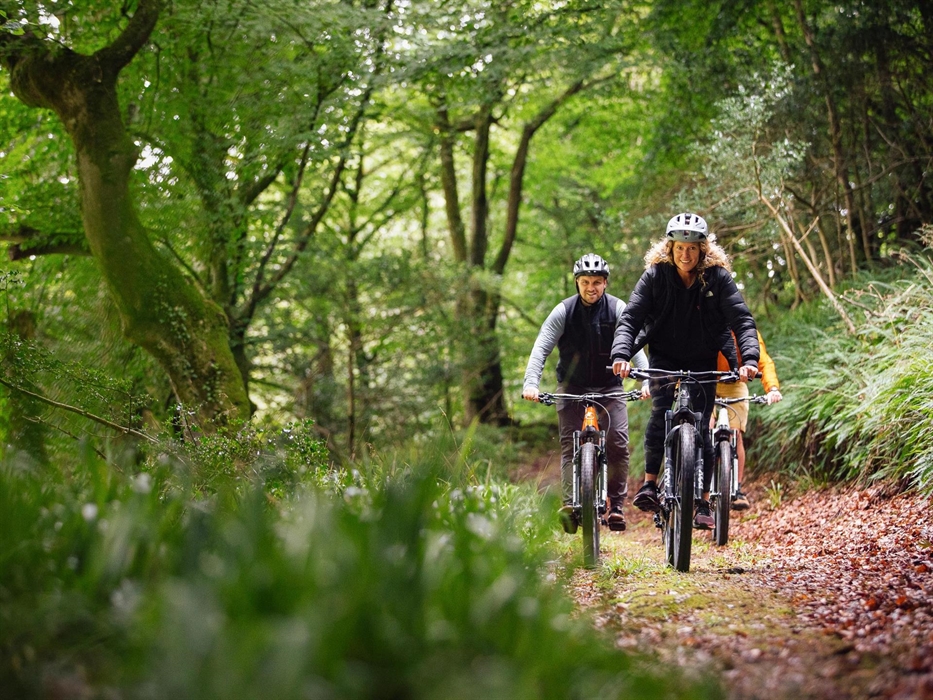 Three mountain bikers ride down hill in the forest of Cwm Gwaun.