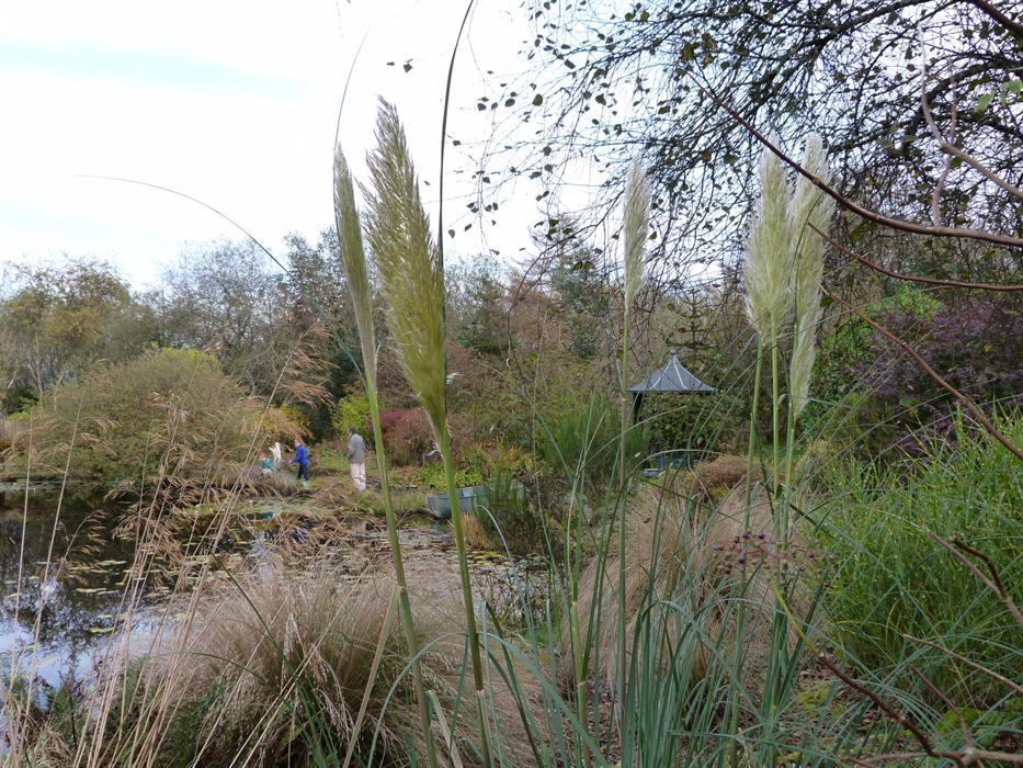 Supervised children exploring the fauna of the lake with nets and a bowl, grasses in the foreground