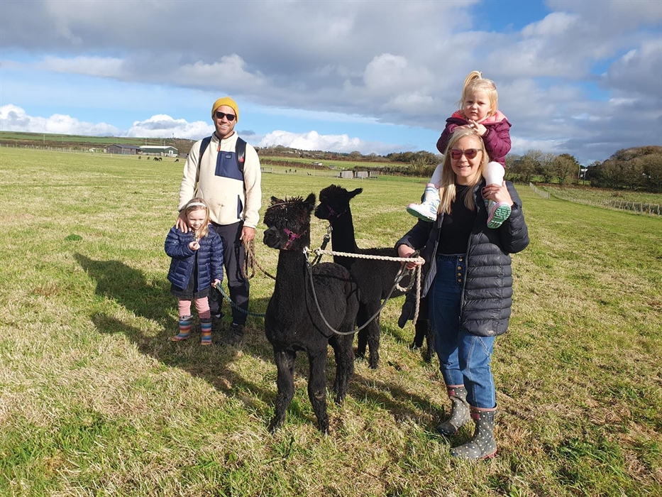 Alpaca Walking at Sweet Home Alpaca