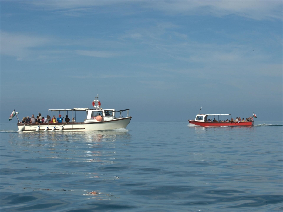 Dolphin Spotting Boat Trips Ermol 5 and Ermol 6 cruising along the Cardigan Bay Special Area of Conservation, on a beautiful in West Wales.