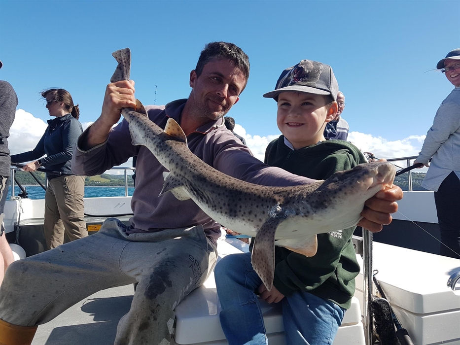 Epic fishing trips bull huss