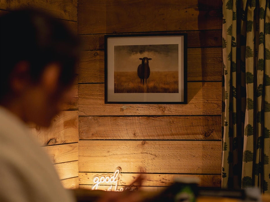 Beautiful and quirky aesthetic