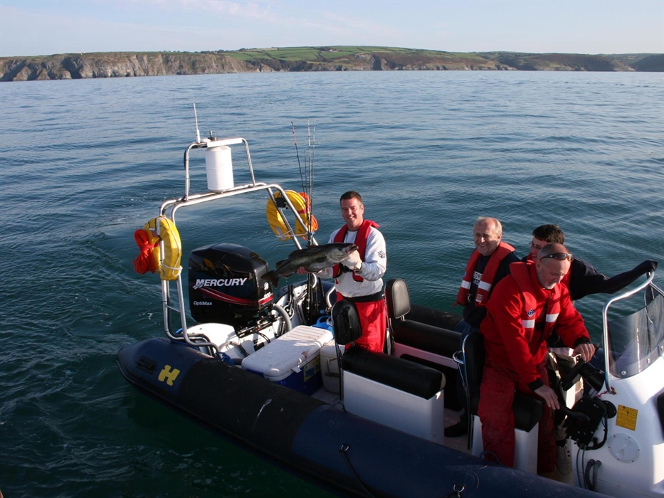 Dolphin Survey Boat Trips, Mid Wales Coast