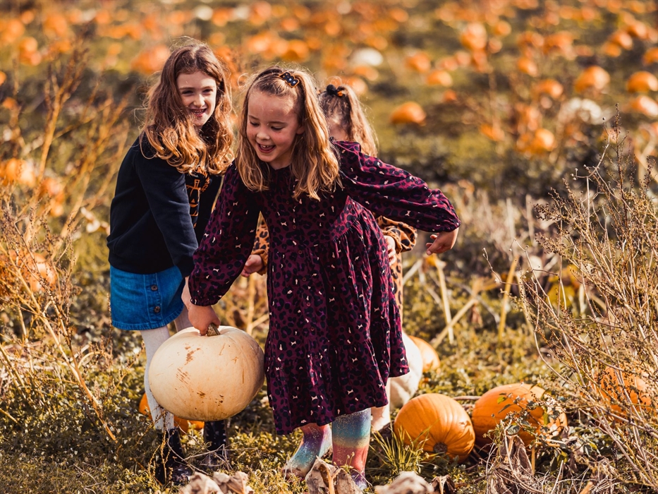 Children-Pumpkin-Picking
