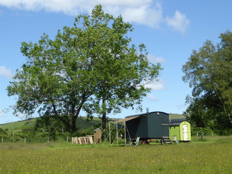 Hygge Hut and wild flowers in the meadow