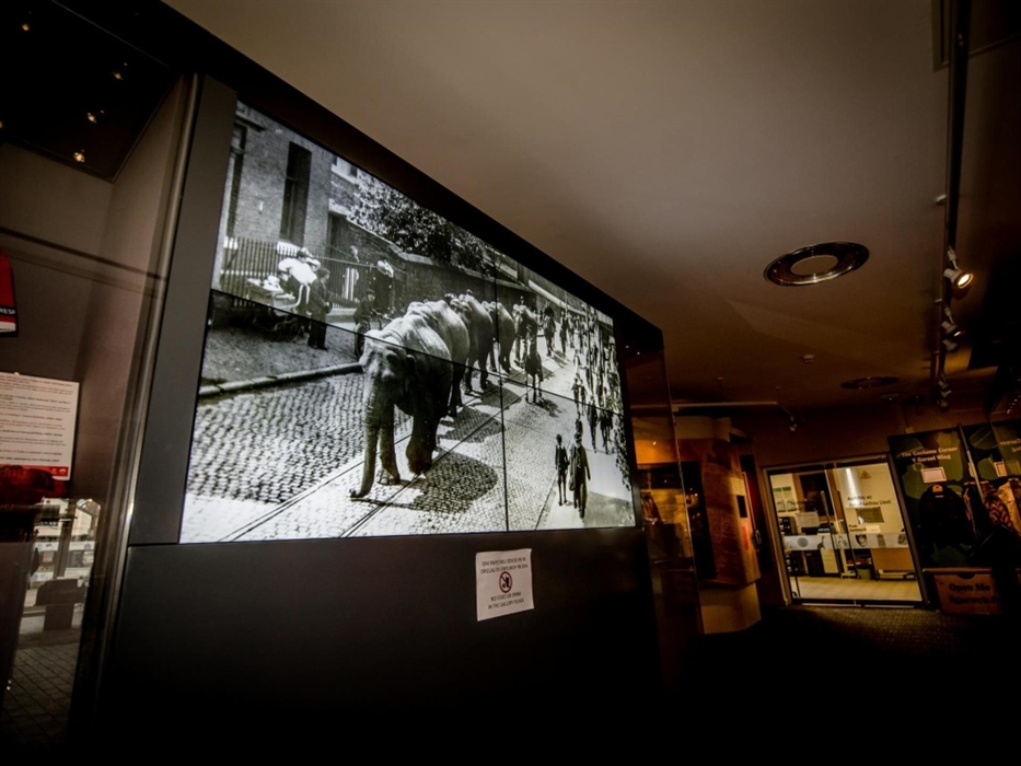 Wrexham Museum Gallery