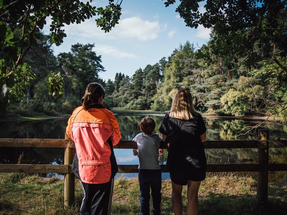 Lake view at Bod Petryal, Clocaenog Forest