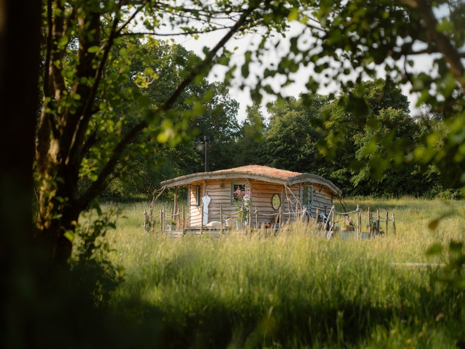 Exclusive rustic cabin surrounded by a treelined wildflower meadow - Luxury Glamping Cabin Carmarthenshire, West Wales