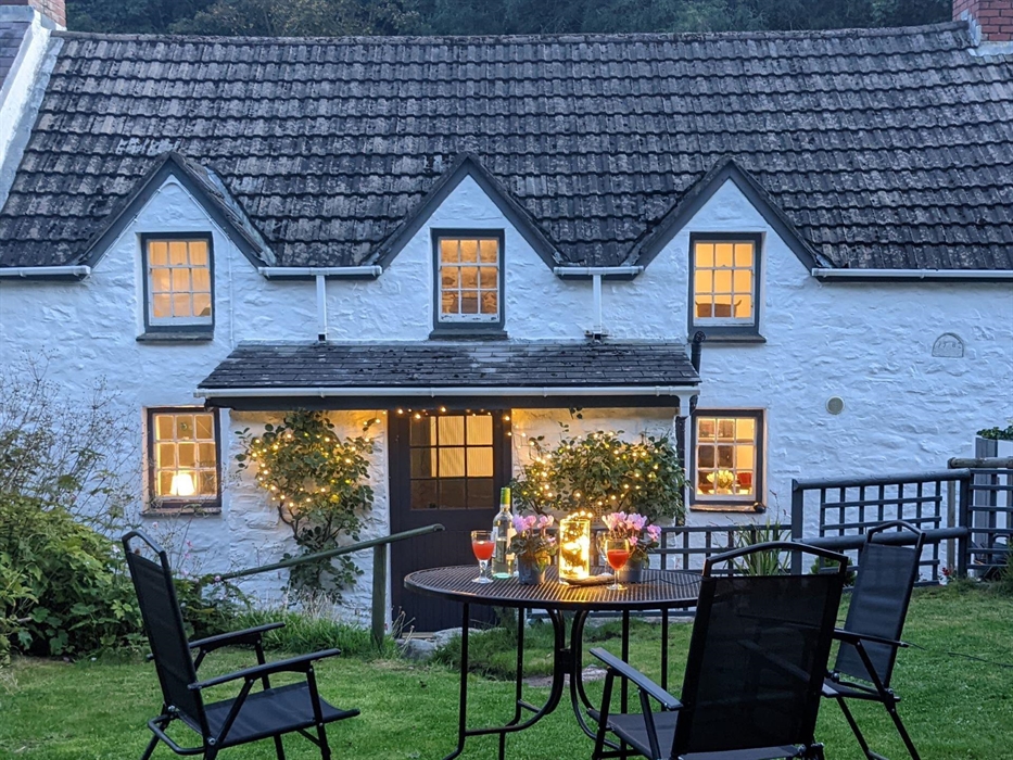 Evening in the back garden at Yr Hal.