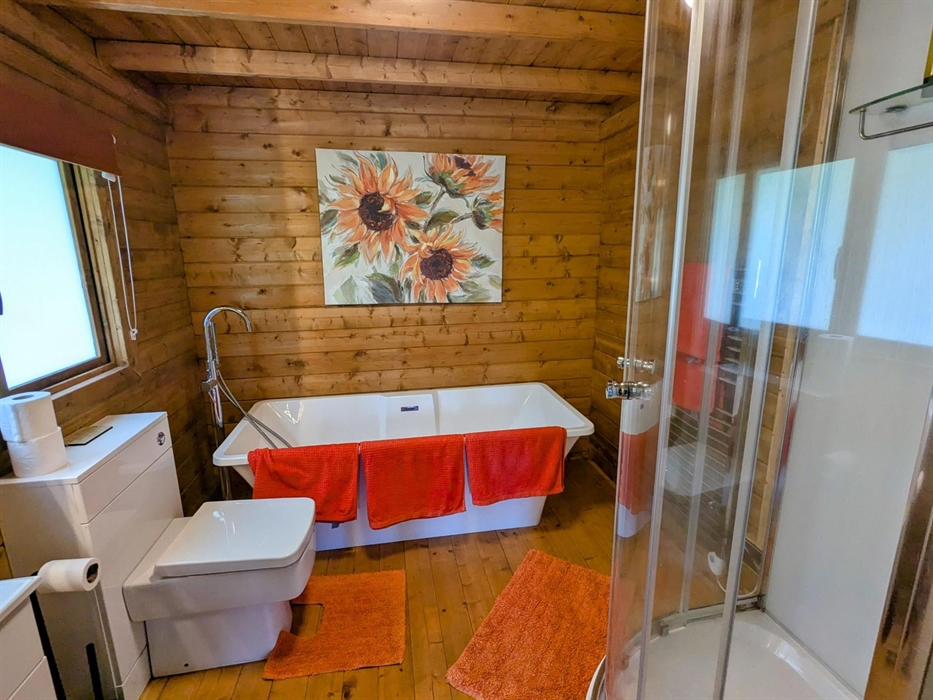 Tad cabin bathroom