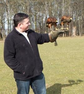 Falconry Experiences