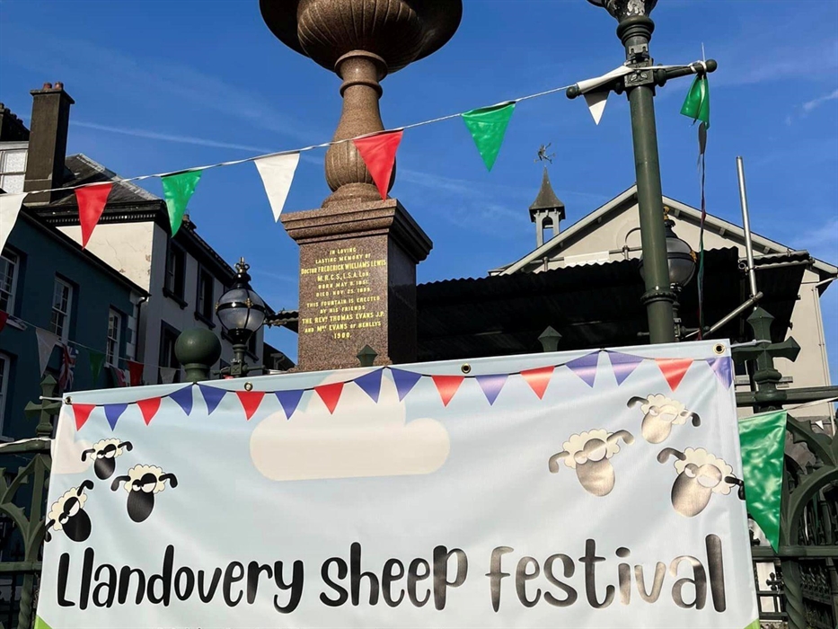 Credit:Llandovery Sheep Festival