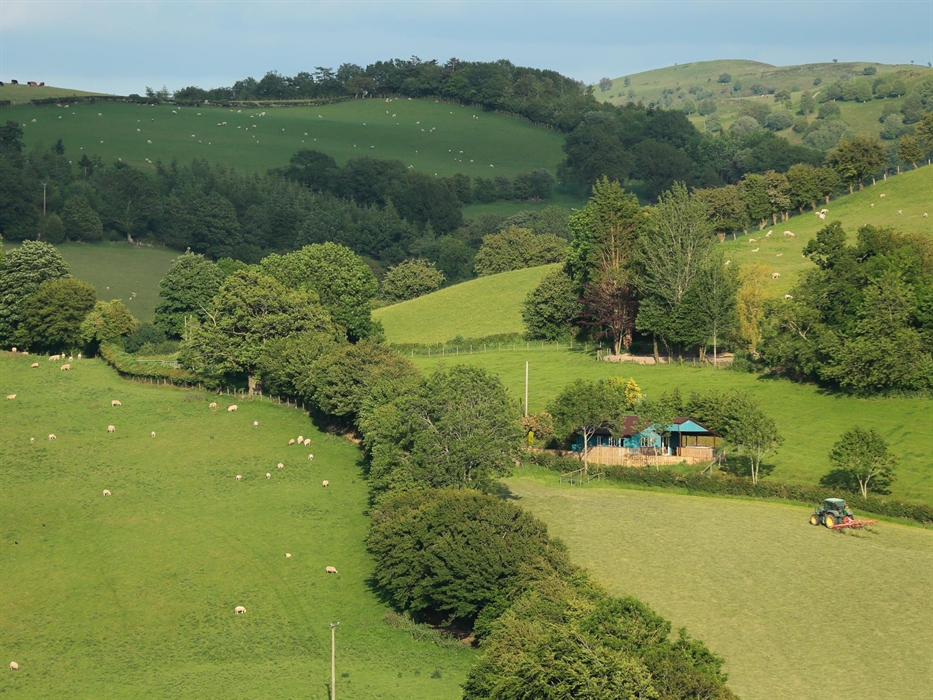 Upper Gelli - Lodge Views