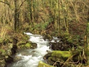 Aber Corris Nature Reserve