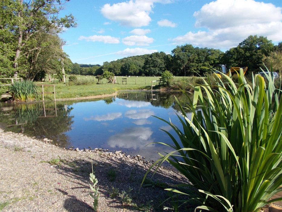 A great place to sit while you are planning how to tour, explore and enjoy beautiful Mid Wales.