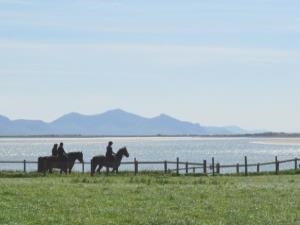 Anglesey Riding