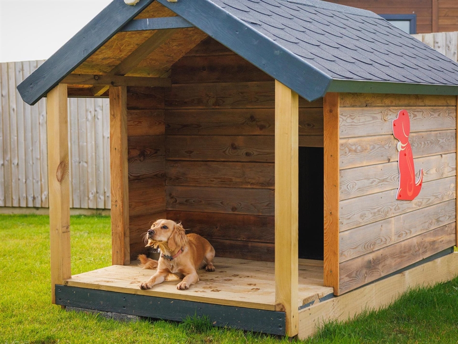 A large wooden, custom-built dog kennel designed to look like a mini-version of a holiday lodge with a yellow springer spaniel sat on the covered porc