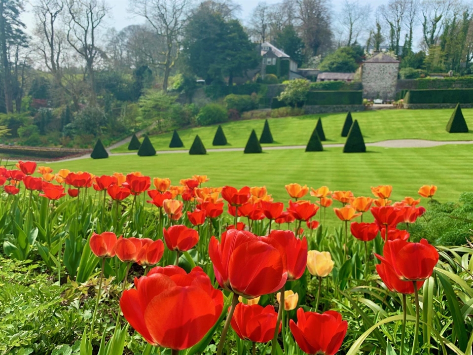 Raised Border and Yew Walk at Plas Cadnant