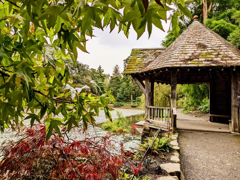 Late summer, early autumn colour surrounds the Boathouse alongside the Skating Pond at Bodnant Garden, Conwy, North Wales