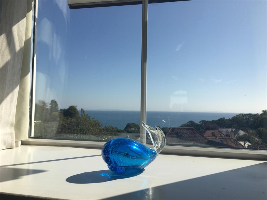 Views across to the Gower.