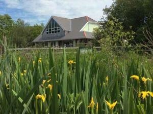 Parc Slip Wildlife Trust