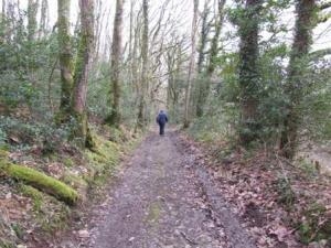Pengelli Forest Nature Reserve
