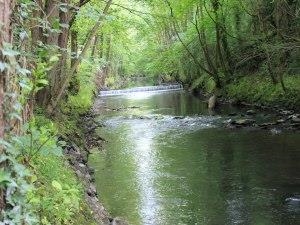 Rossett and Gresford Flyfishers Club