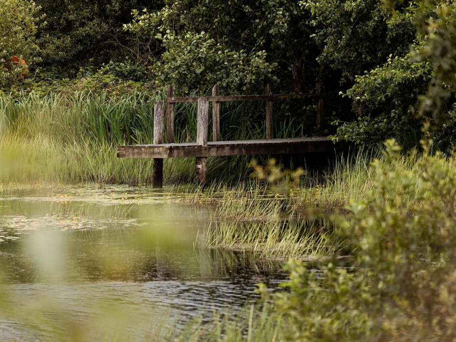 Lower Lochturffin Jetty