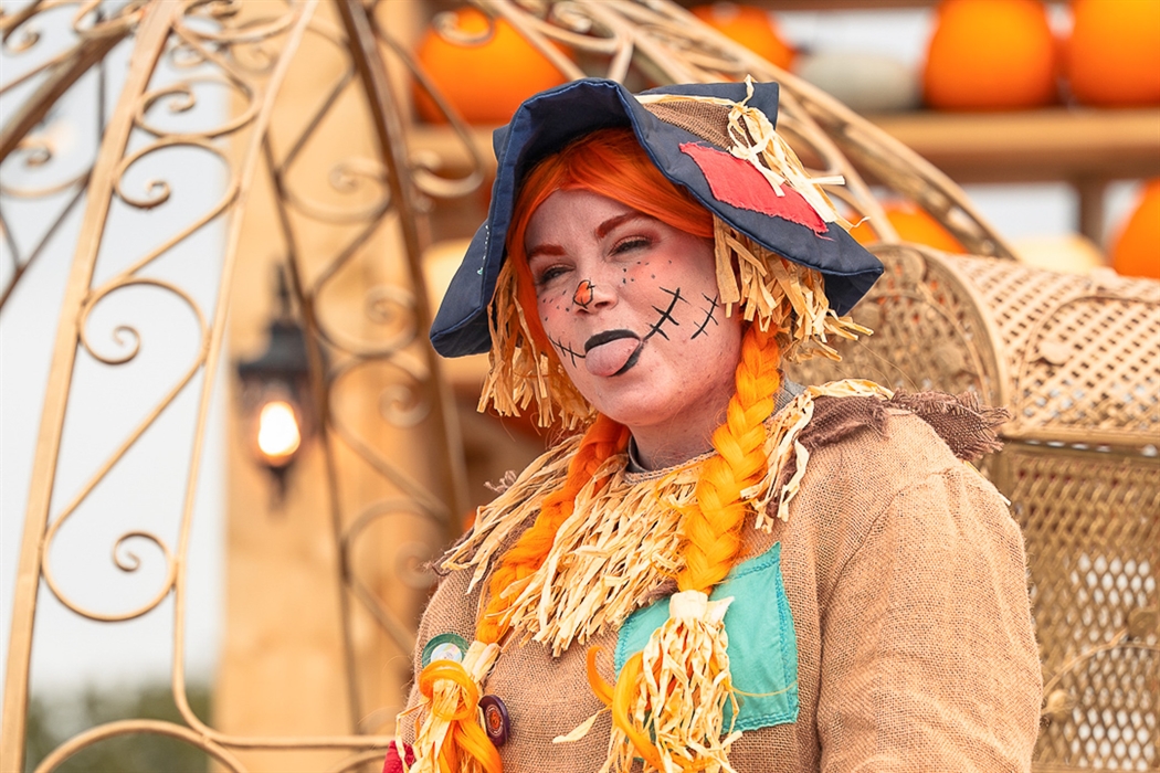 Pumpkin Fest