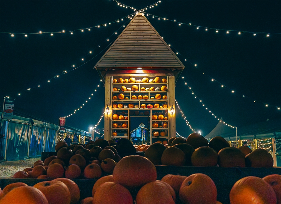 Pumpkin Fest Nights
