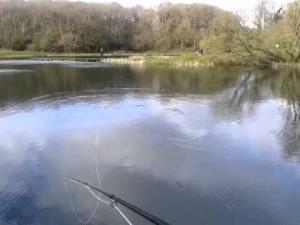 Garnffrwd Trout Fishery