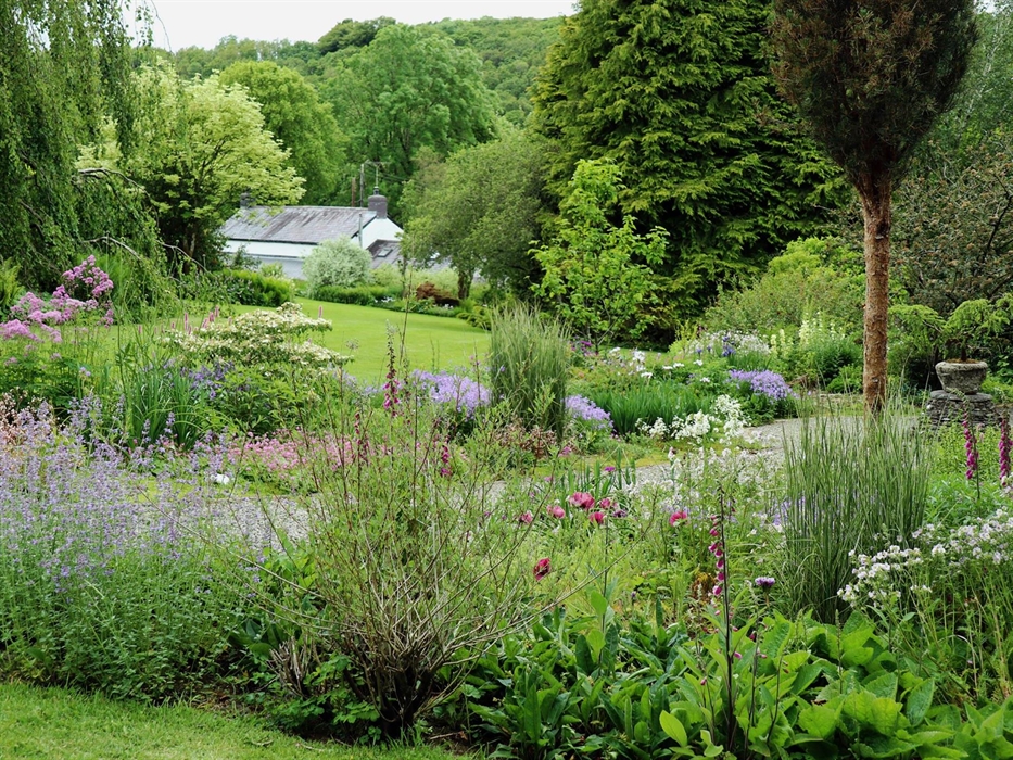 The Blue Garden at Cae Hir Gardens, with blue and purple summer flowers in the foreground and sweeping lawns down to the cottage behind.