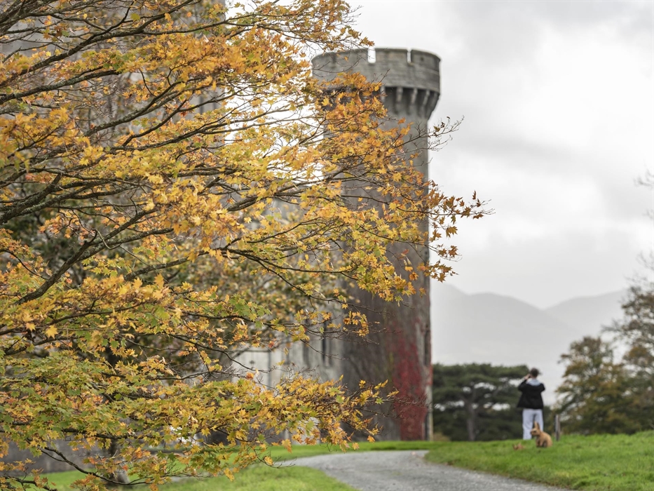 Golden trees in front of the castle