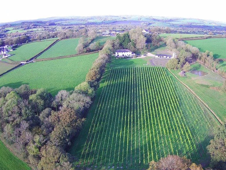Aerial view of Velfrey Vineyard Pembrokeshire