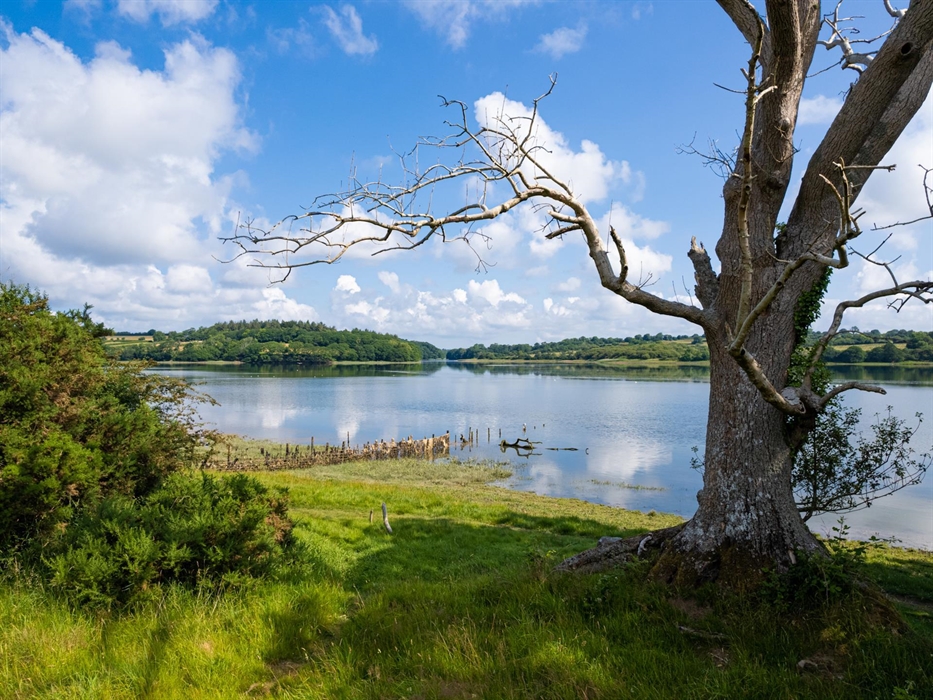 Walk through hay meadow down to estuary