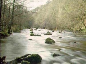 Fly Fishing Wales