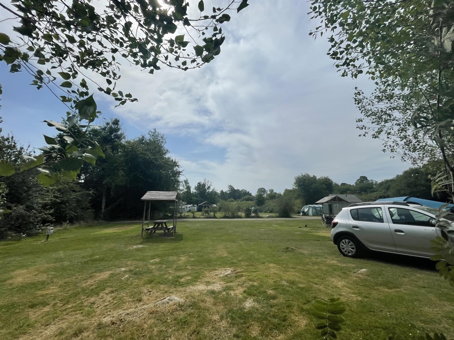 Grass camping with electric hook up