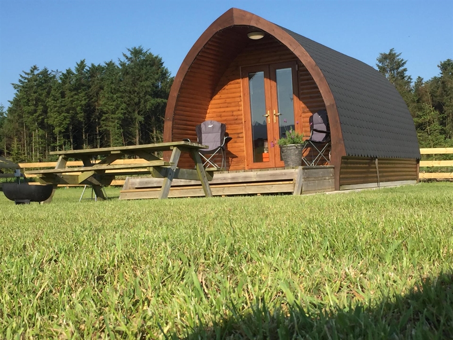 Ben bore yn Glampio Coed