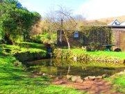 View of bunkhouse pond