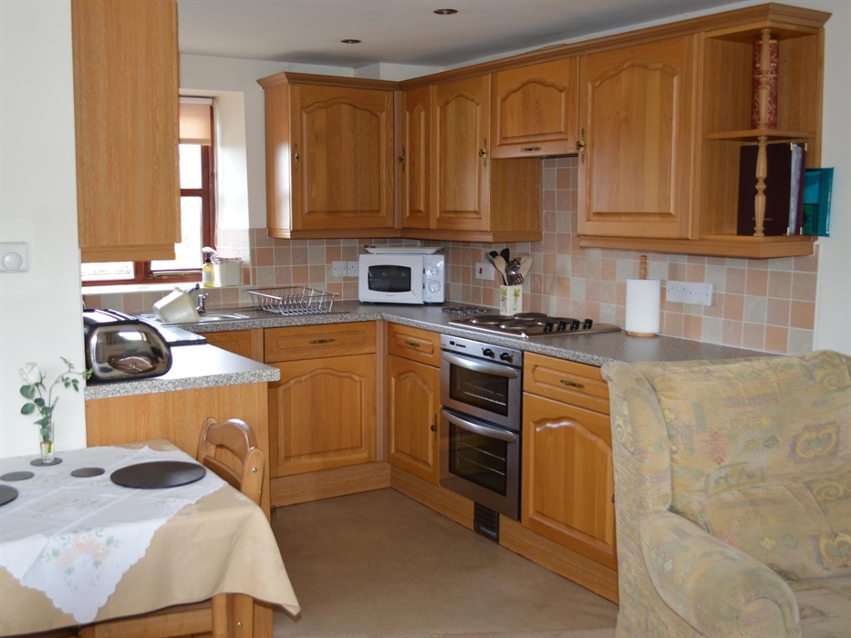 Sir Haydn Cottage - kitchen - Hendy