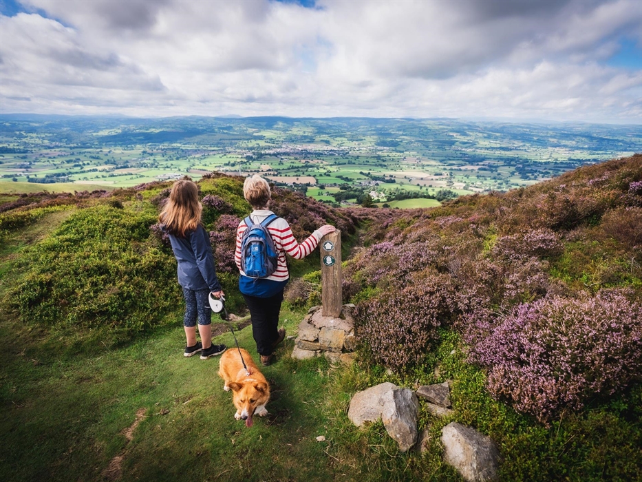 Moel Famau, Denbighshire