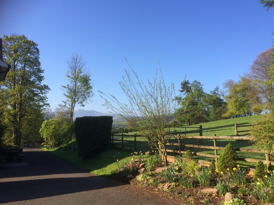 A gloriously sunny morning at Aberyscir Coach House.