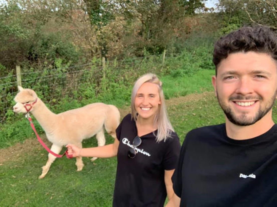 Pembrokeshire Alpaca Trekking