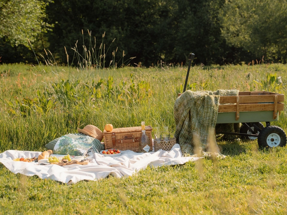 Pinic in the meadow - Luxury Glamping Cabins with Hot Tubs, Brecon Beacons