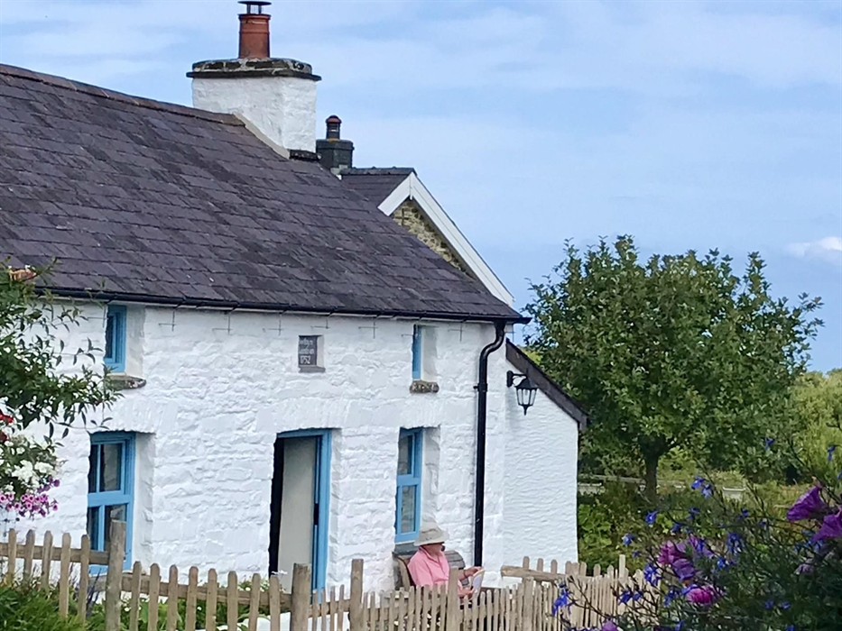 Enjoying the morning sunshine