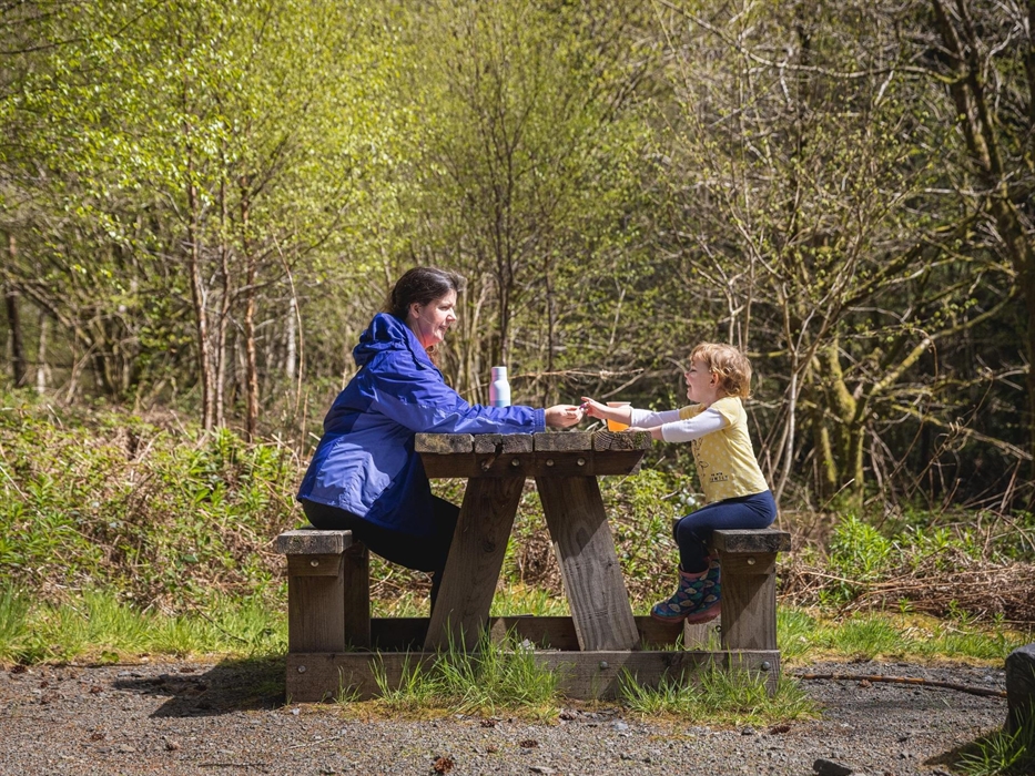 Cwm Rhaeadr Woodland