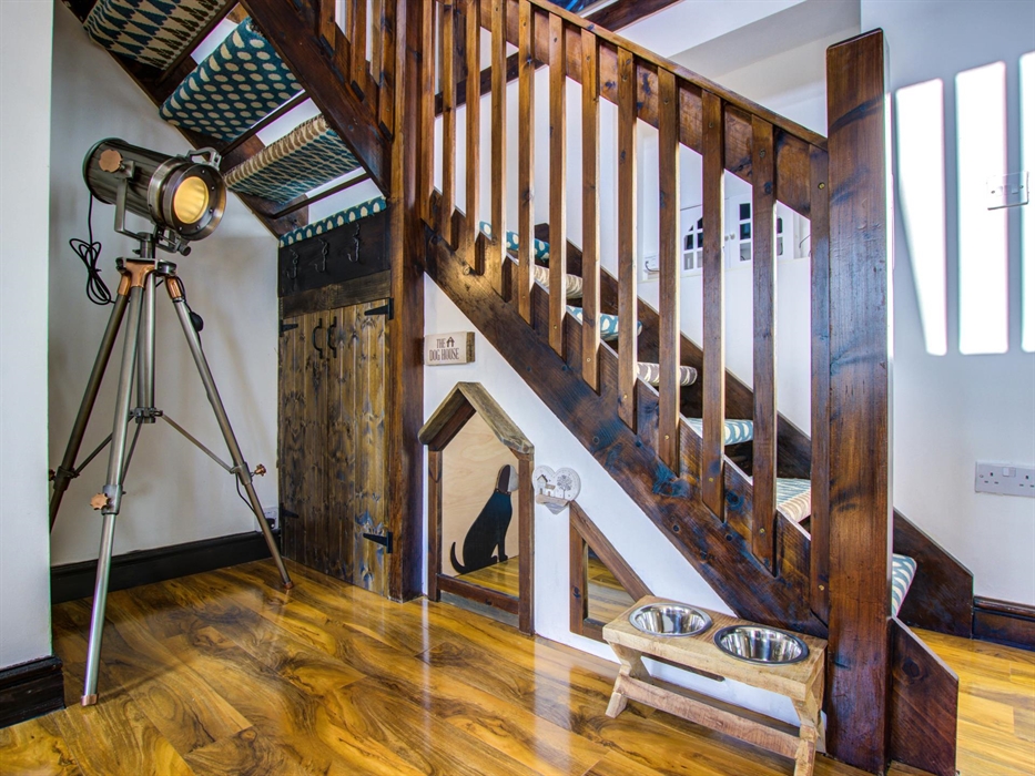 Somewhere quiet for the dog to relax