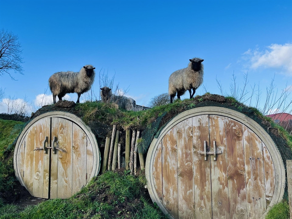 Built into a grassy bank near the eco lodges, the round wooden log stores feature double doors and blend naturally with the landscape. Topped with roa