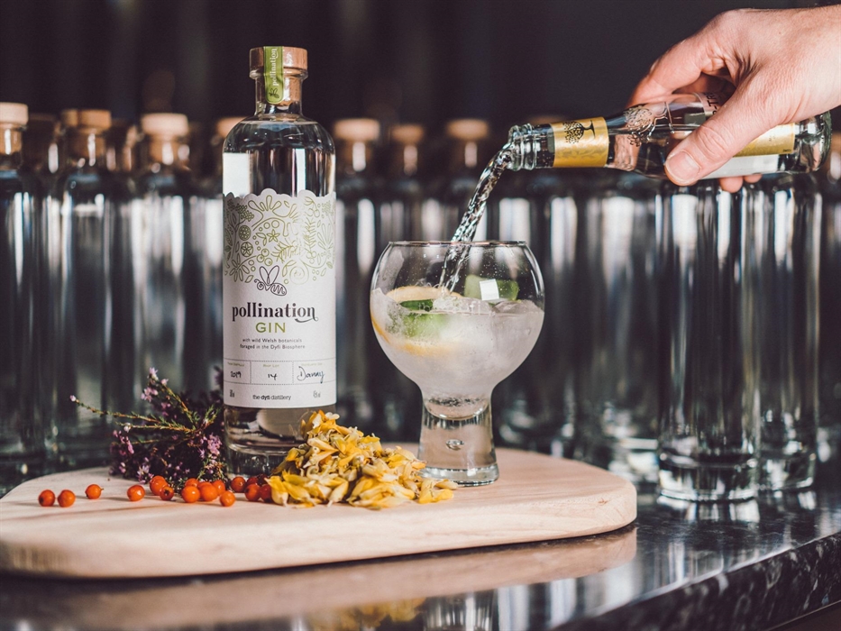 Dyfi Pollination Gin